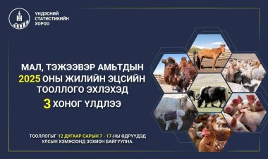 МАЛ, ТЭЖЭЭВЭР АМЬТДЫН 2025 ОНЫ ЖИЛИЙН ЭЦСИЙН ТООЛЛОГЫН АЖЛЫН ХЭСГИЙН ХУРАЛДААН БОЛЛОО.